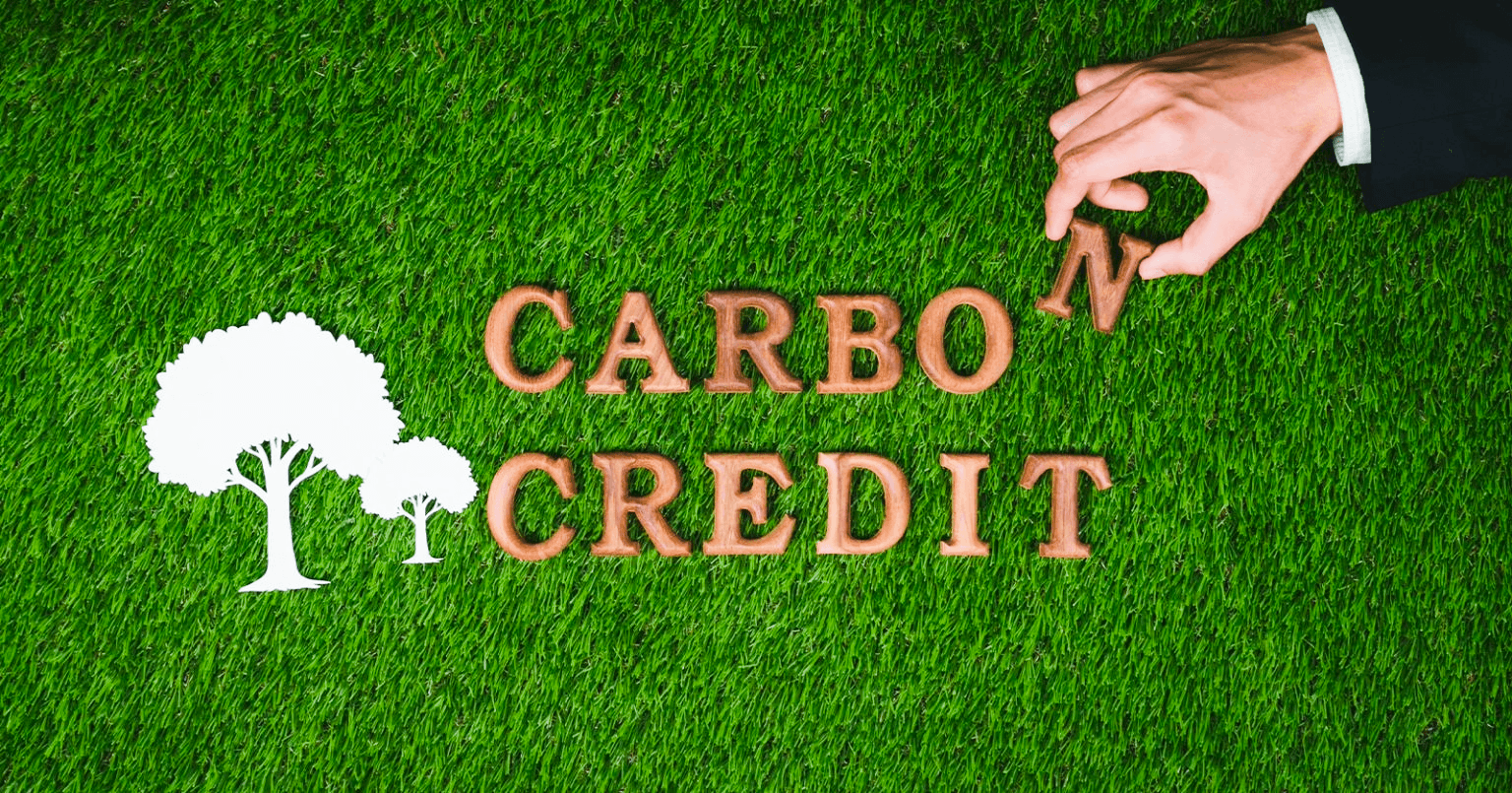 Tranxcarbon resource cover for understanding carbon credits and offsets