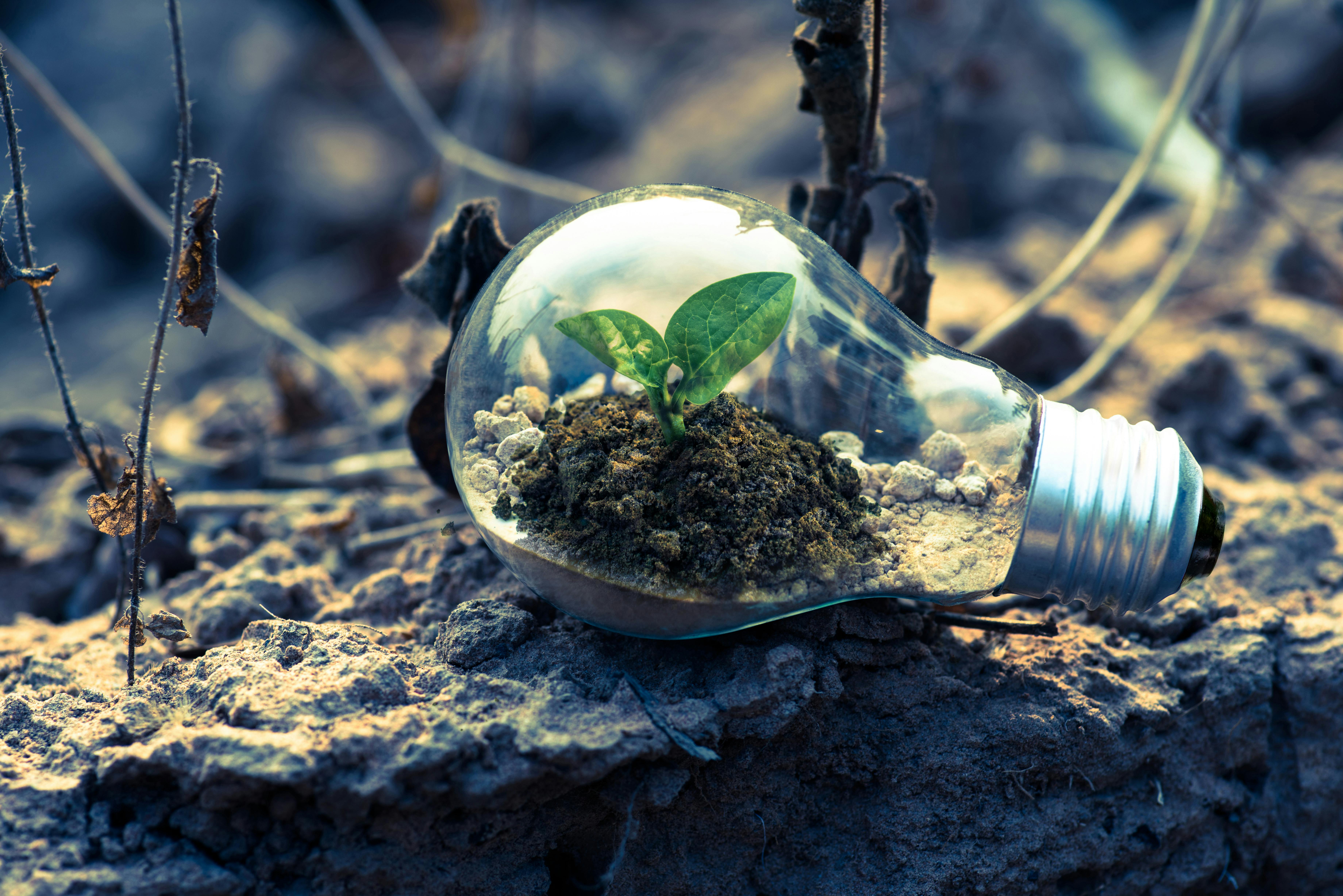About TranxCarbon